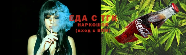 тгк Медногорск