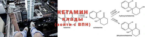 стаф Арсеньев