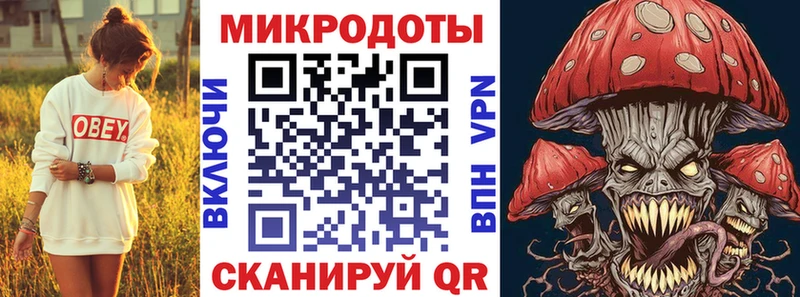 наркота  Бутурлиновка  Галлюциногенные грибы Cubensis 